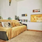 Rent 3 bedroom apartment of 60 m² in Trieste