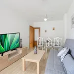 Alquilo 3 dormitorio apartamento de 100 m² en Guardamar del Segura