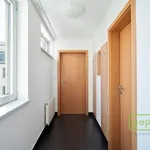 Rent 2 bedroom apartment of 60 m² in Prague