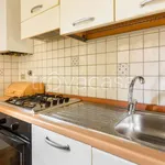 Rent 3 bedroom apartment of 80 m² in Firenze