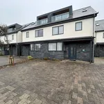 Rent 4 bedroom house in Newquay