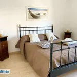 Rent 3 bedroom apartment of 60 m² in Palermo