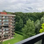 Rent 1 bedroom apartment in Watermael-Boitsfort