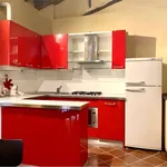 Rent 1 bedroom apartment of 50 m² in Novara