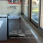 Rent 3 bedroom apartment of 65 m² in Livorno