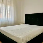 Rent 1 bedroom apartment in Rome