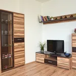 Rent 2 bedroom apartment of 85 m² in Brno