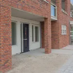 Rent 3 bedroom apartment of 80 m² in Pijnacker-Centrum/Dorp