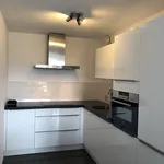 Rent 2 bedroom apartment of 74 m² in Rotterdam