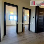 Rent 1 bedroom house of 113 m² in Křenek