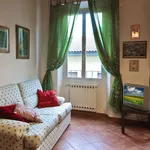 Rent 2 bedroom apartment of 70 m² in Florence