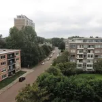 Huur 3 slaapkamer appartement van 70 m² in Den Haag