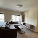 Rent 3 bedroom apartment of 59 m² in Nyíregyháza