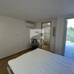 Affitto 2 camera appartamento di 40 m² in Pontedera