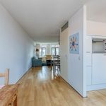 Rent 2 bedroom house of 100 m² in The Hague