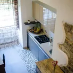 Rent 2 bedroom apartment of 40 m² in Firenze