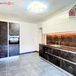 Rent 3 bedroom apartment of 66 m² in Ústí nad Labem