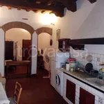 Rent 1 bedroom apartment of 45 m² in Firenze