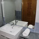 Alquilo 3 dormitorio apartamento de 65 m² en Palencia