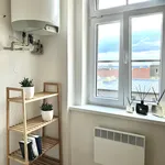 Rent 1 bedroom apartment in Prague