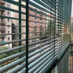 Rent 1 bedroom apartment in Milan