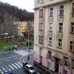 Rent 1 bedroom apartment of 23 m² in Capital City of Prague