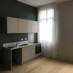 Rent 1 bedroom apartment of 39 m² in Tours