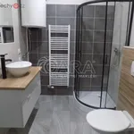 Rent 1 bedroom apartment of 25 m² in Trhový Štěpánov