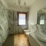 Rent 3 bedroom apartment of 85 m² in Venezia