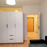 Rent 2 bedroom apartment of 45 m² in Łódź