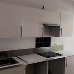 Rent 4 bedroom apartment of 110 m² in Toulouse