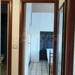 Rent 3 bedroom apartment of 91 m² in Roma