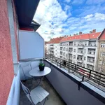 Rent 2 bedroom apartment of 66 m² in Berlin