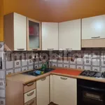 Rent 2 bedroom apartment of 60 m² in Biella