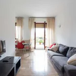 Rent a room in milan