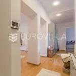 Rent 2 bedroom apartment of 80 m² in Zagreb