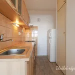 Pronajměte si 2 ložnic/e byt o rozloze 42 m² v Prague