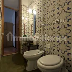 Rent 1 bedroom apartment of 25 m² in Pavia