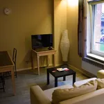 Rent 1 bedroom apartment of 40 m² in Antwerp