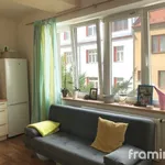 Rent 3 bedroom apartment of 68 m² in Brno