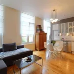 Rent 1 bedroom apartment of 45 m² in brussels