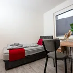 Rent 4 bedroom apartment of 80 m² in Duisburg