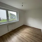 Rent 3 bedroom apartment of 68 m² in Schwarzautal