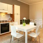 Rent 2 bedroom apartment of 45 m² in Pomezia