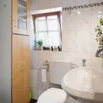 Rent 1 bedroom apartment in munich