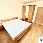 Rent 2 bedroom apartment of 44 m² in Brno