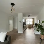 Rent 3 bedroom apartment of 80 m² in Sint-Maartensdijk