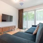 Rent 2 bedroom apartment of 45 m² in Poznan