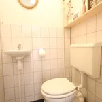 Rent 1 bedroom apartment of 60 m² in Leiden