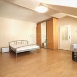 Rent 1 bedroom apartment of 46 m² in Karlovy Vary